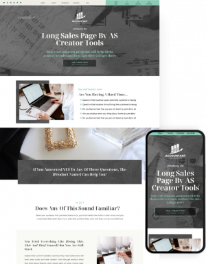 SalesPage-accountant.png